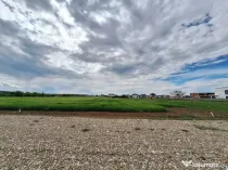 Teren de vânzare Balotesti
