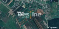 PROSELNICI – Teren extravilan 12.000 mp