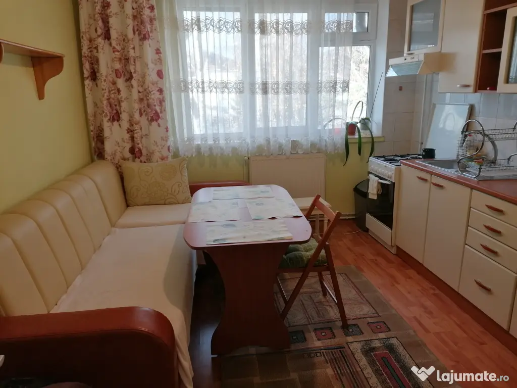 Apartament 1 camera, ultracentral