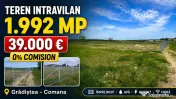 Teren intravilan 1992 mp Grădiștea Comana 