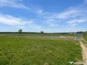 Teren intravilan 1992 mp Grădiștea Comana 