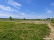 Teren intravilan 1992 mp Grădiștea Comana 