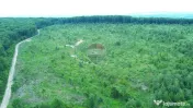 Teren 44,7, hectare Serbauti / Strada Principala 