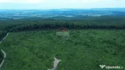 Teren 44,7, hectare Serbauti / Strada Principala 