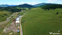 Fermă zootehnică / stână pentru oi și vaci – teren 10.000 mp - Măneciu-Pământeni 