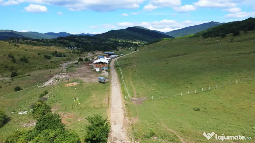 Fermă zootehnică / stână pentru oi și vaci – teren 10.000 mp - Măneciu-Pământeni