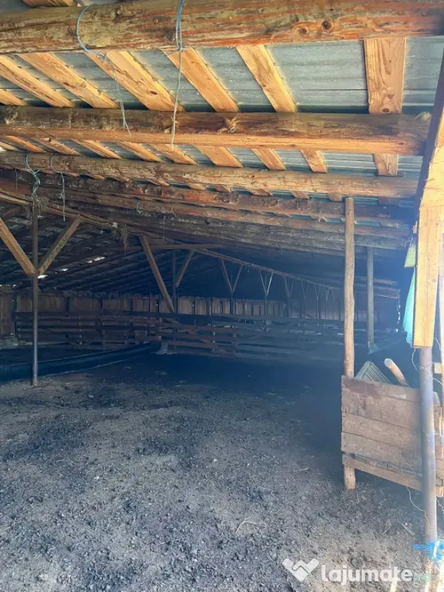 Fermă zootehnică / stână pentru oi și vaci – teren 10.000 mp - Măneciu-Pământeni