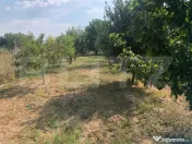 Teren intravilan 1700mp , zona Căprioarei 