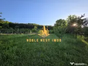 Casă spațioasă – Micești, Argeș, teren generos 2.500