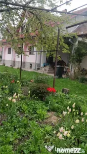 Penisune cu teren de 5.700 mp, Runcu - Cheile Sohodolului 