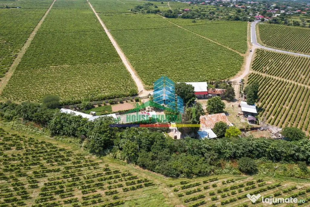 Crama Istorica si 7 Ha Vie - Vartescoiu (Vrancea)