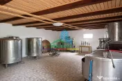 Crama Istorica si 7 Ha Vie 