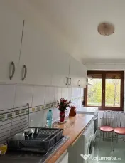 De inchiriat apartament cu 2 camere, etaj 2, Gradina Publ...