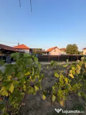 Casa de vanzare in Arginesti