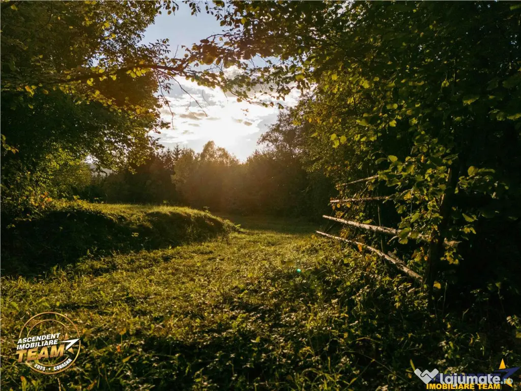 FILM! Teren extravilan, Ojdula, 4.800 mp, zona pitoreasca - Ojdula (Covasna)