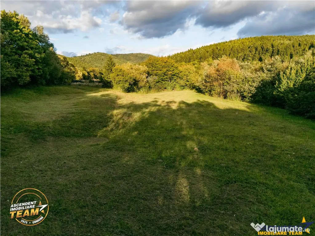 FILM! Teren extravilan, Ojdula, 4.800 mp, zona pitoreasca - Ojdula (Covasna)