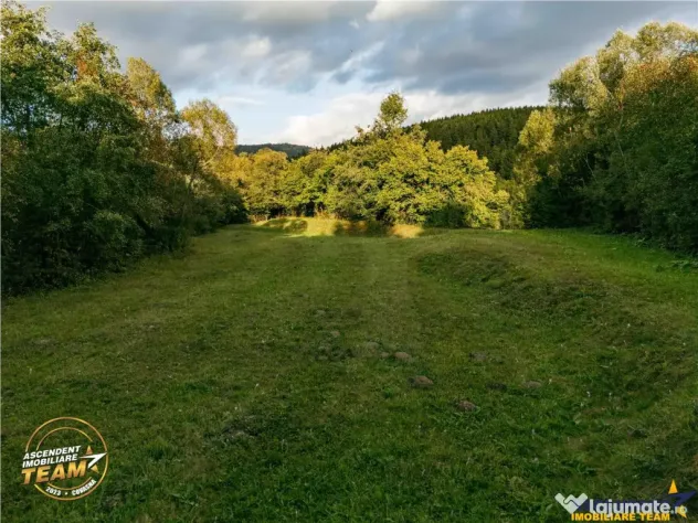 FILM! Teren extravilan, Ojdula, 4.800 mp, zona pitoreasca - Ojdula (Covasna)