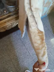 Blana nurca rasa