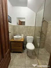 Cabana 400mp Băișoara: 21 locuri, piscină, jacuzzi, investiție