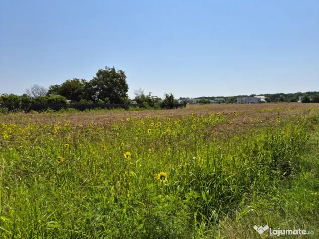 Teren de 785mp, 34m deschidere, Ciofliceni, comision 0%! - Ciofliceni (Bucuresti-Ilfov)