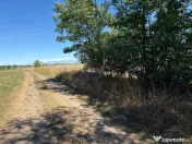 TEREN CU POTENTIAL - Satu Mare 
