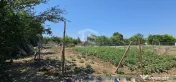 Teren intravilan 641 mp Eforie Nord – 38.000 € | Comi...
