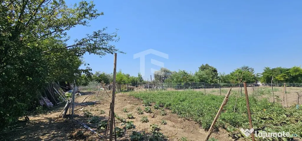 Teren intravilan 641 mp Eforie Nord – 38.000 € | Comi... - Eforie Nord (Constanta)
