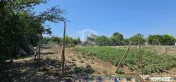 Teren intravilan 641 mp Eforie Nord – 38.000 € | Comi... 