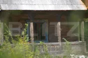Casa de vacanta zona superba