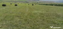 Teren Cluj,Chinteni 1300mp