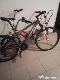 vand bicicleta 300 lei