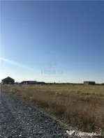 Teren - Mosnita Veche - Investitie - 652 mp