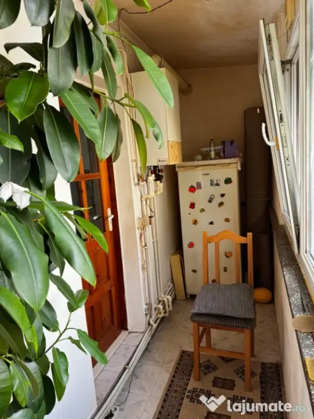 Apartament o camera Dacia, parter, 33mp+balcon 7mp - Iasi (Iasi)