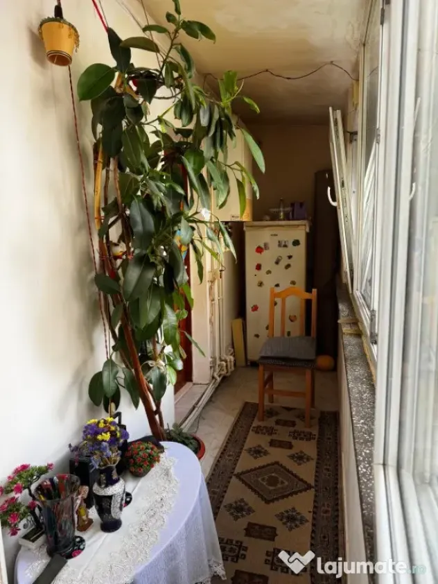 Apartament o camera Dacia, parter, 33mp+balcon 7mp - Iasi (Iasi)