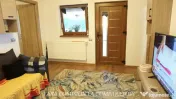 OLANESTI CASA NOUA TEREN 1389 MP 