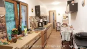 OLANESTI CASA NOUA TEREN 1389 MP 