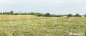 Teren intravilan , 500 mp , Zona Odoreu
