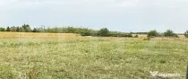 Teren intravilan , 500 mp , Zona Odoreu