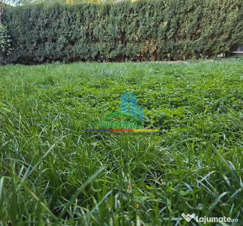 Teren intravilan Focsani, Fan Curier, 600 mp - Focsani (Vrancea)