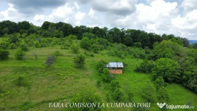 TEREN 19.822 MP CADRU NATURAL MINUNAT - Runcu (Valcea)