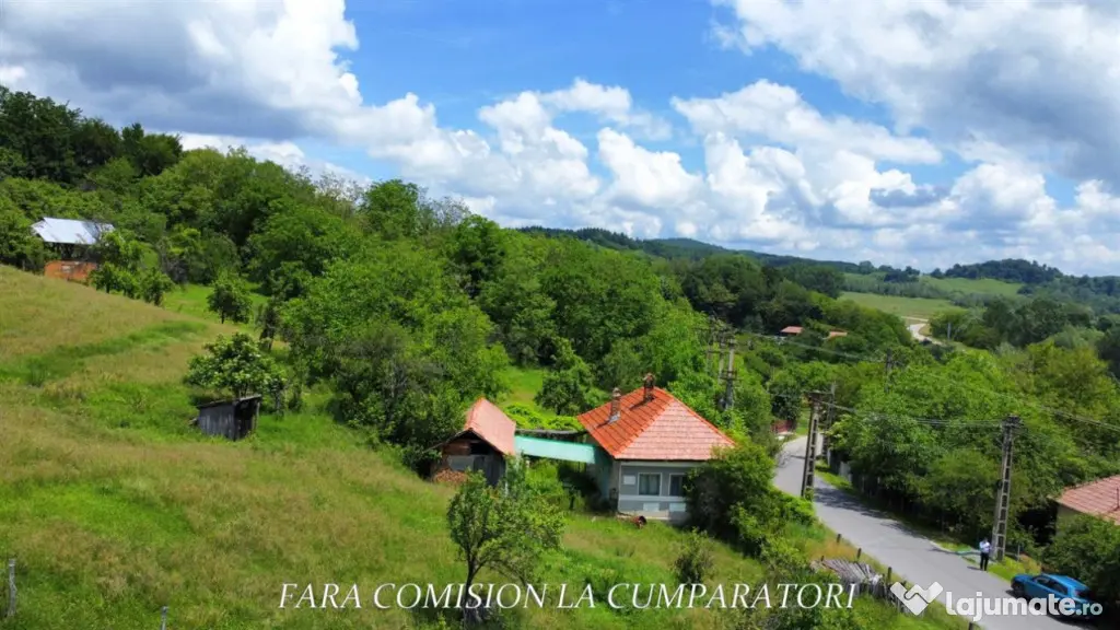 TEREN 19.822 MP CADRU NATURAL MINUNAT - Runcu (Valcea)