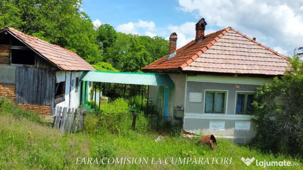 TEREN 19.822 MP CADRU NATURAL MINUNAT - Runcu (Valcea)