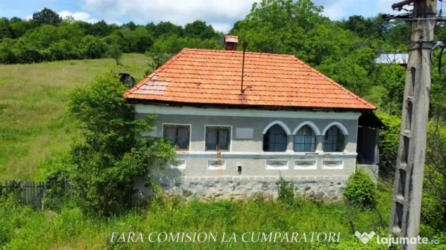 TEREN 19.822 MP CADRU NATURAL MINUNAT - Runcu (Valcea)