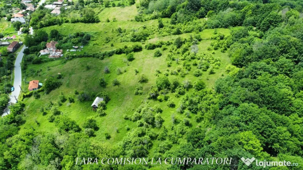 TEREN 19.822 MP CADRU NATURAL MINUNAT - Runcu (Valcea)