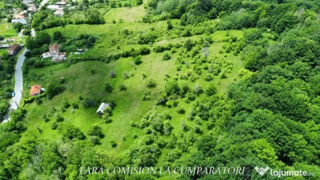 TEREN 19.822 MP CADRU NATURAL MINUNAT - Runcu (Valcea)