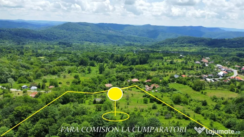 TEREN 19.822 MP CADRU NATURAL MINUNAT - Runcu (Valcea)