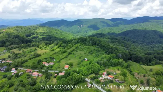 TEREN 19.822 MP CADRU NATURAL MINUNAT - Runcu (Valcea)