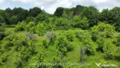 TEREN 19.822 MP CADRU NATURAL MINUNAT
