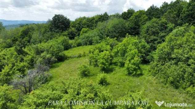 TEREN 19.822 MP CADRU NATURAL MINUNAT - Runcu (Valcea)