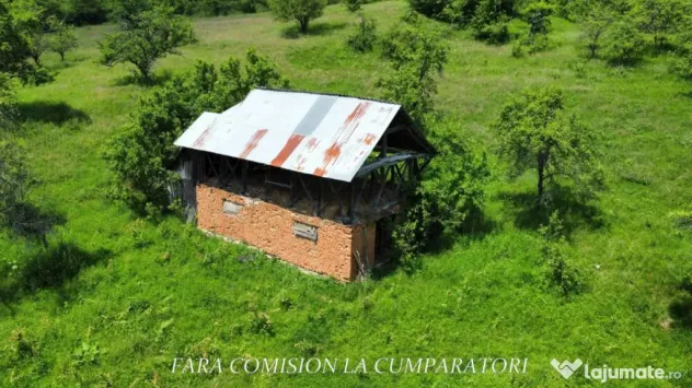TEREN 19.822 MP CADRU NATURAL MINUNAT - Runcu (Valcea)